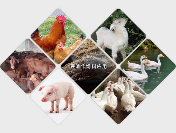 豆渣烘干機(jī)，多渠道綜合利用分析