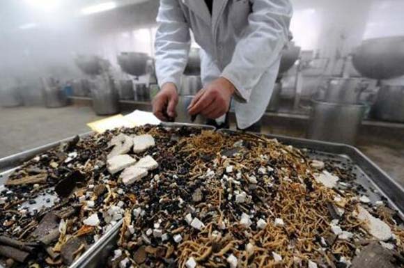 探索中藥渣干燥機(jī)新工藝